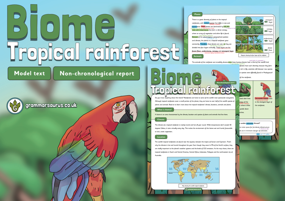 Year 3 Model Text – Non-chronological report – Biome Tropical ...