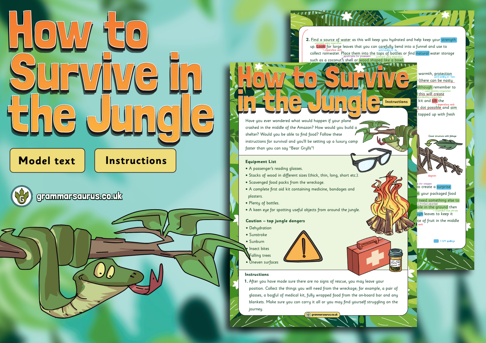 how to survive in the jungle essay