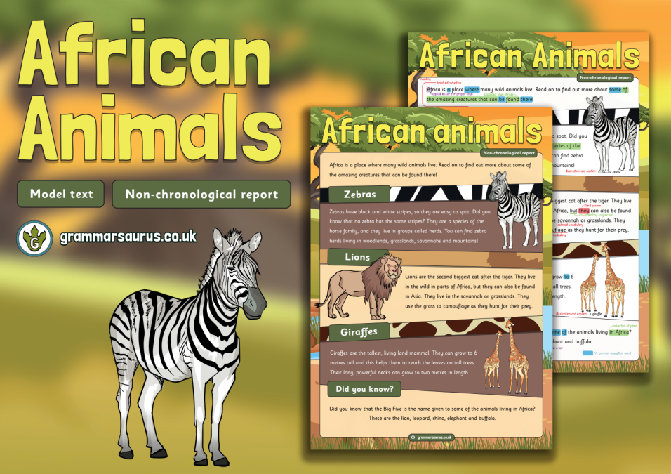 Year 1 Model Text – Non-chronological report – African Animals  (🏴󠁧󠁢󠁳󠁣󠁴󠁿 P1, 🇦🇺🇺🇸 Kindergarten & 🇮🇪 Senior infants) -  Grammarsaurus