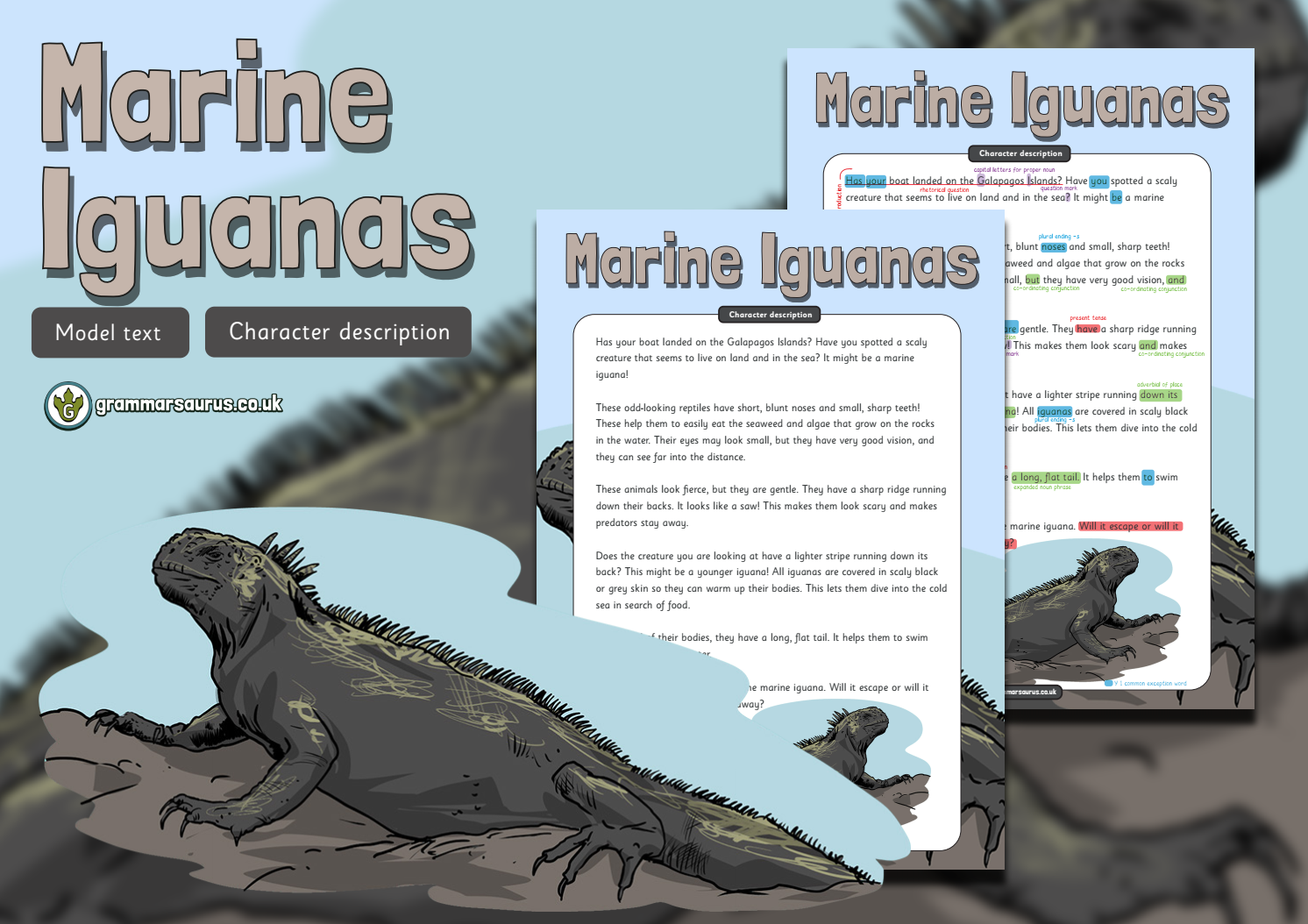 Year 1 Model Text – Character description – Marine Iguanas - Grammarsaurus