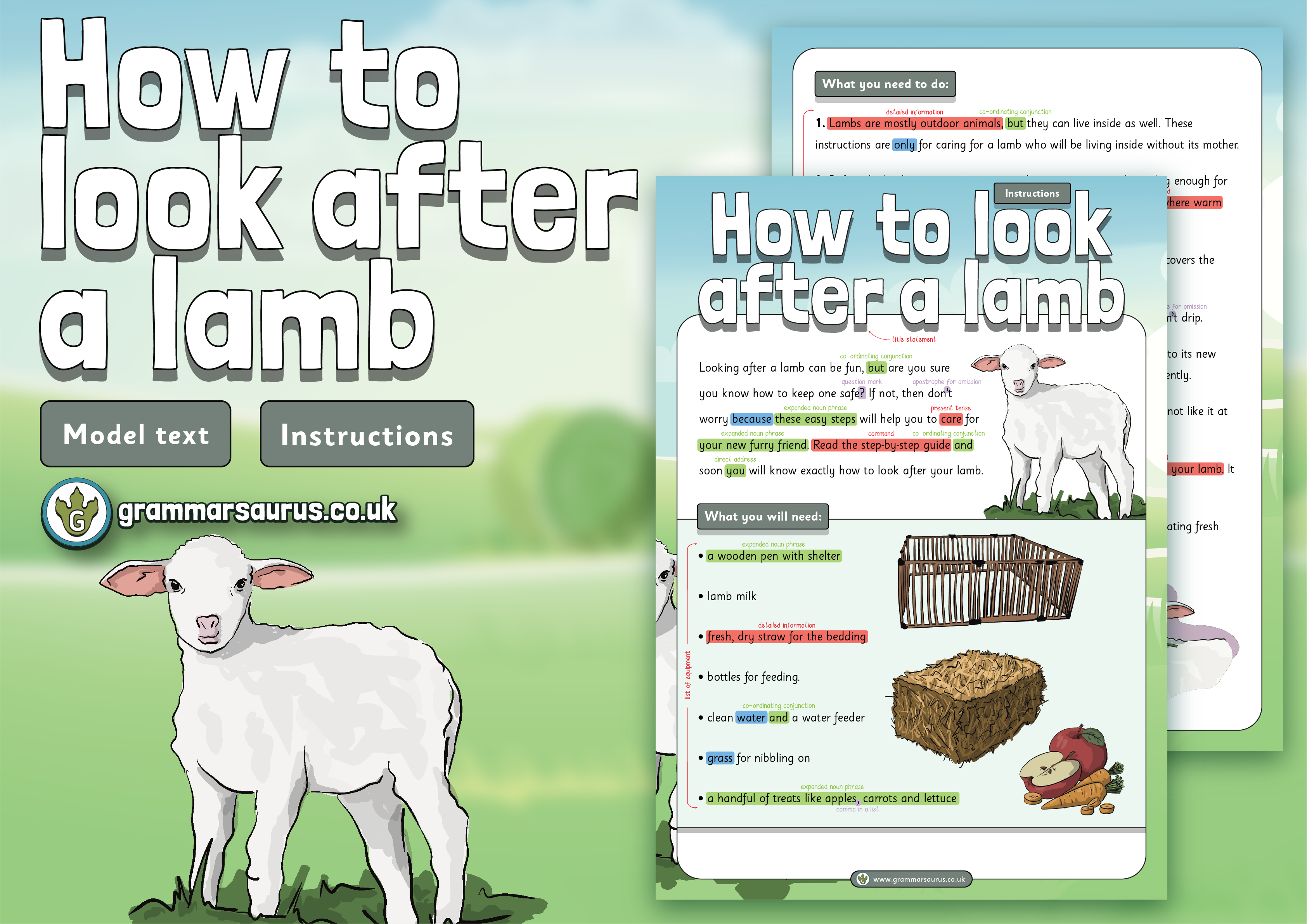 Year 2 Model Text Instructions How to look after a lamb ( gbsct P2