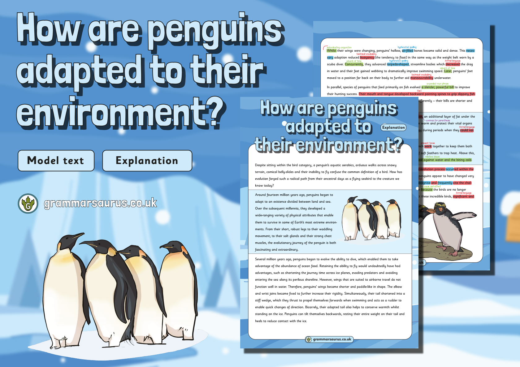 Year 5 Model Text – Explanation – How are Penguins adapted to their