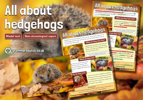 Year 1 Model Text – Non-chronological report – All about Hedgehogs ...