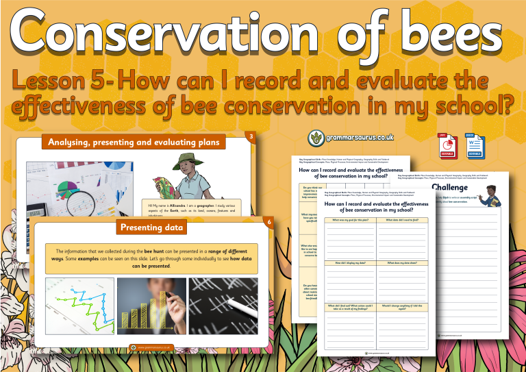 Year 3 Geography Conservation of Bees How can I record and evaluate
