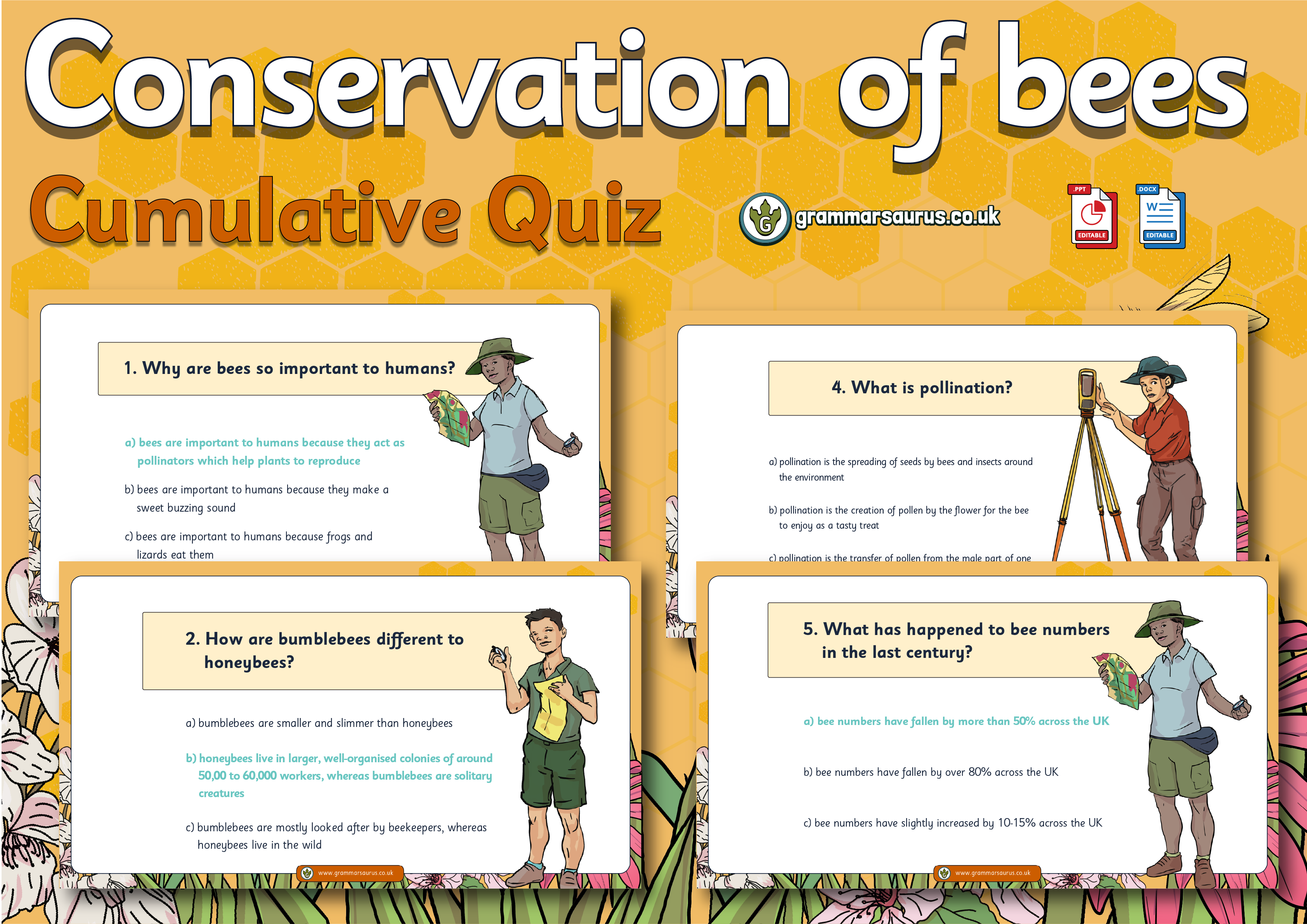 Year 3 Geography Conservation of Bees Cumulative Quiz Grammarsaurus