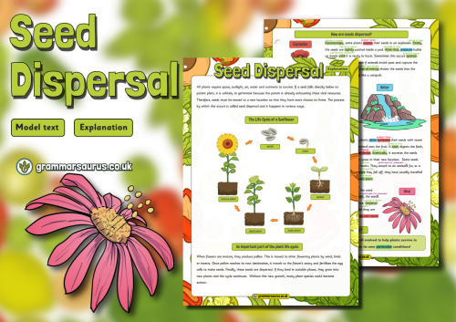 Year 3 Model Text – Explanation – Seed dispersal - Grammarsaurus