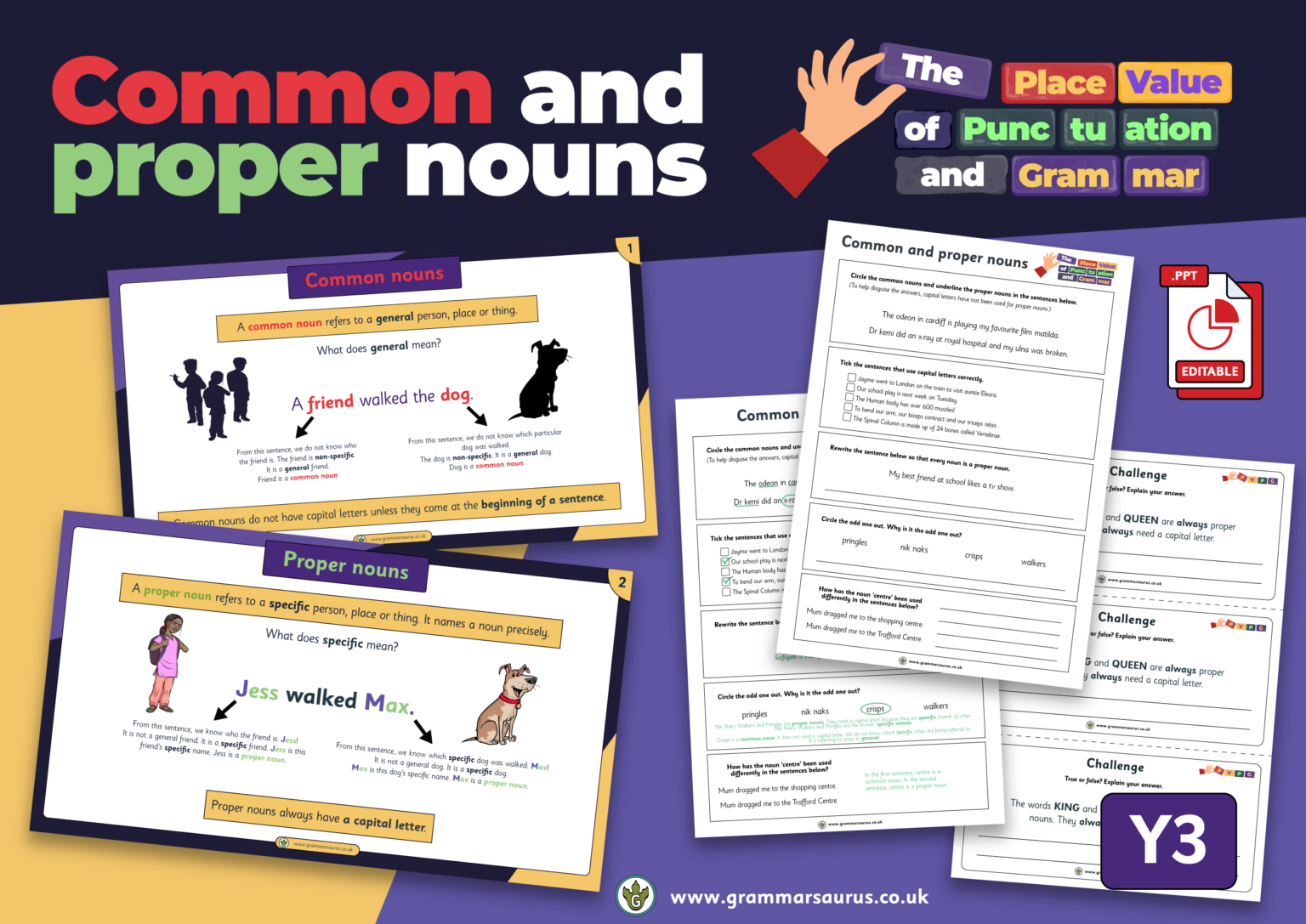 Year 3 The Place Value of Punctuation and Grammar - Common and Proper ...