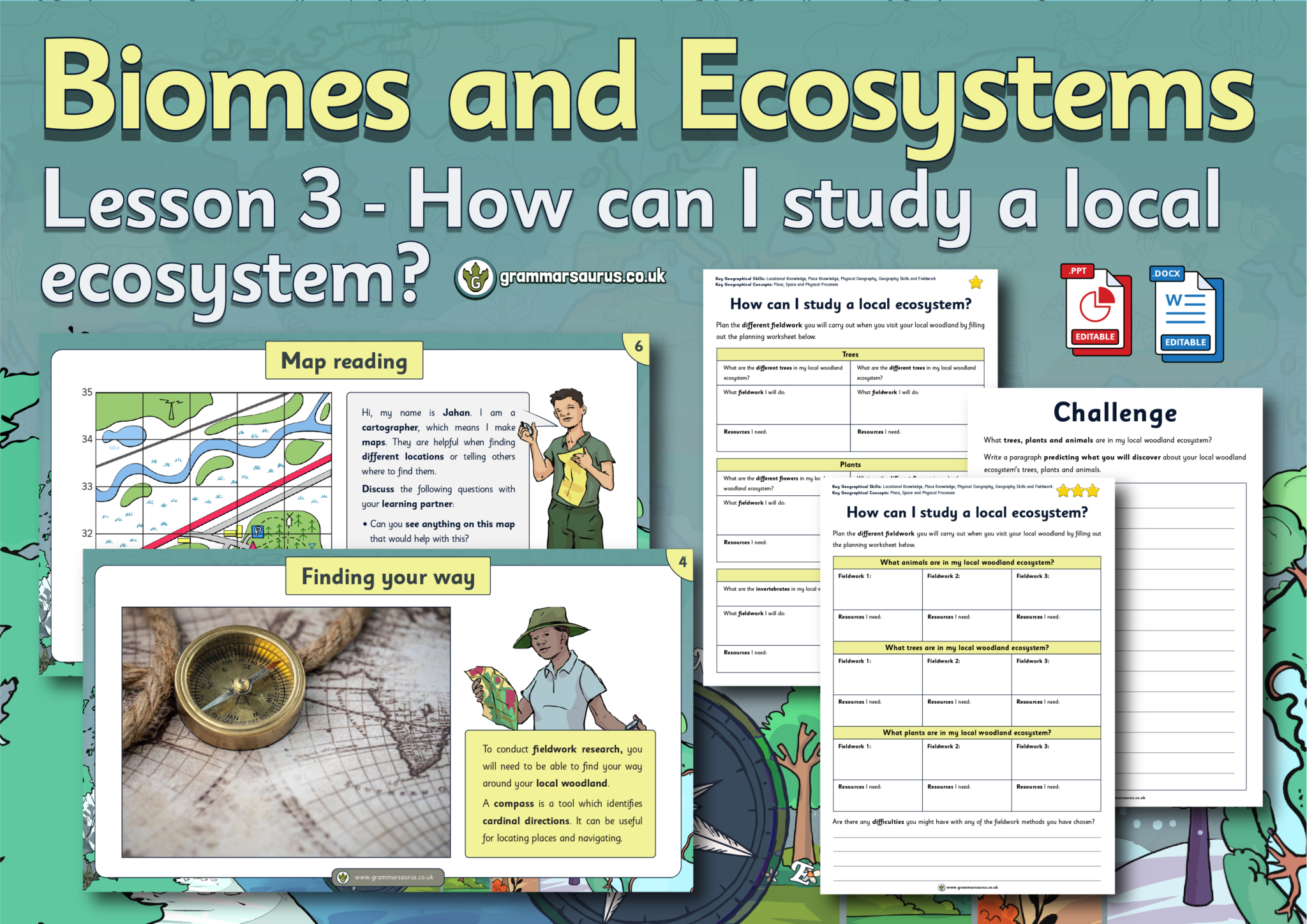 Year 5 Geography – Fieldwork – Biomes – How can I study a local ...