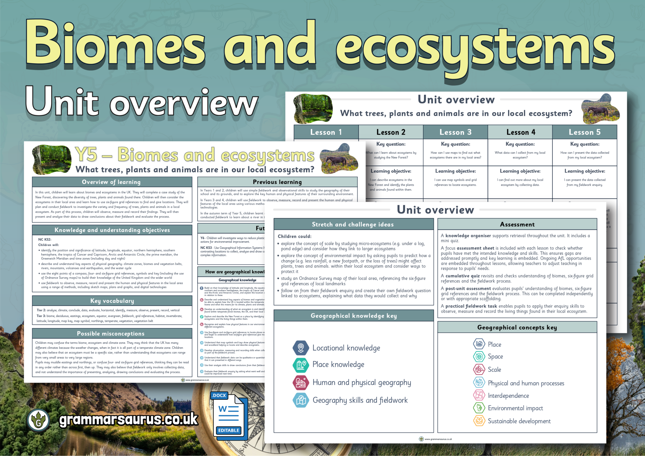 Year 5 Geography - Biomes and ecosystems - Unit overview - Grammarsaurus