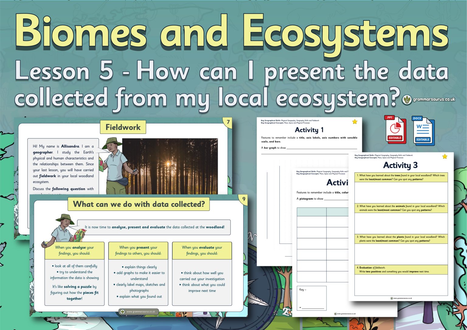 Year 5 Geography – Fieldwork – Biomes – How can I present the data ...