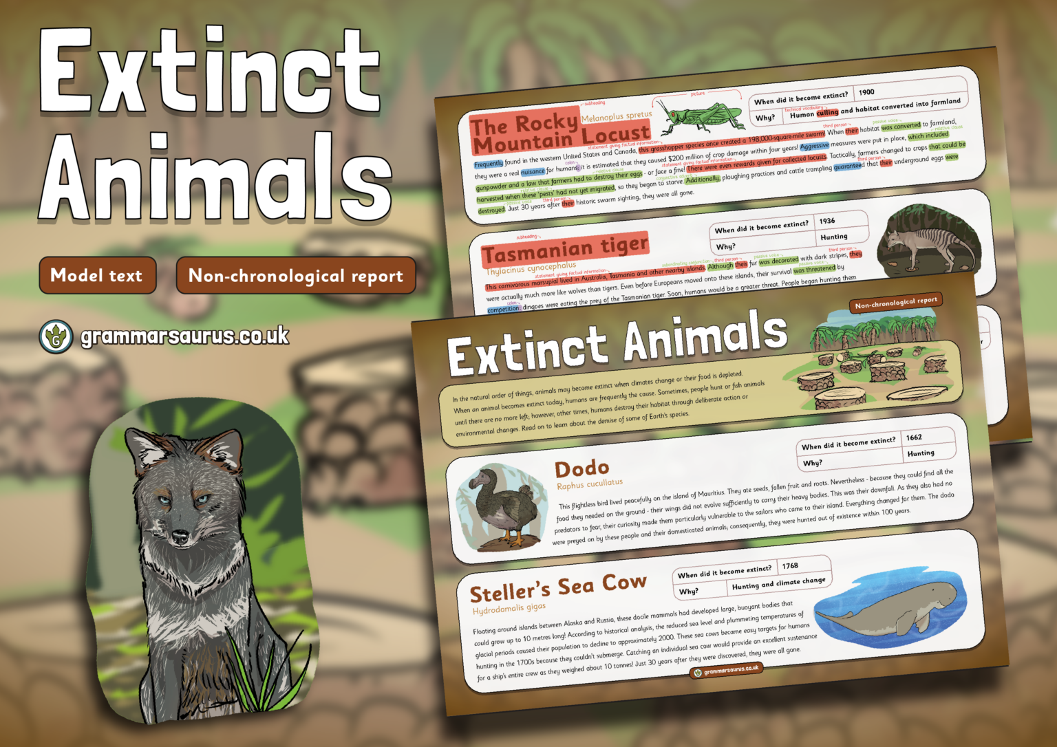 Year 6 Model Text Nonchronological report Extinct Animals ( gbsct