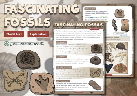 Year 3 Model Text Explanation Fascinating Fossils Grammarsaurus