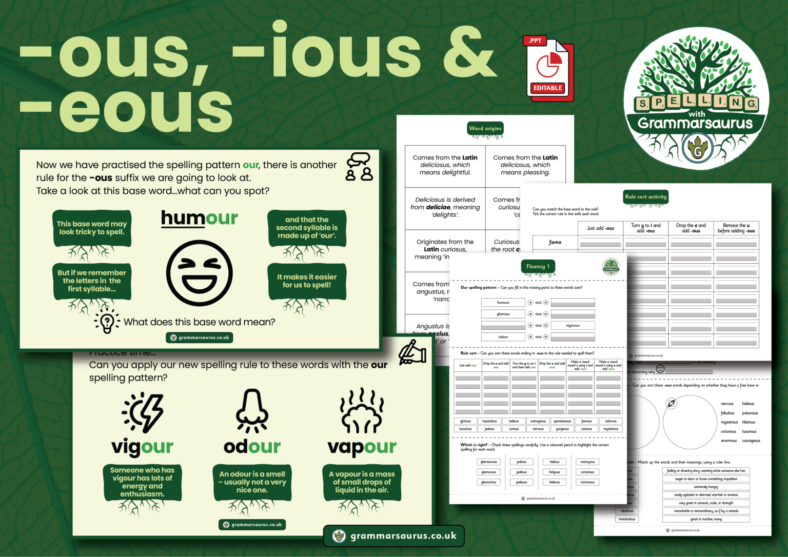 Y4 Objective 4 (ous, ious & eous) Grammarsaurus