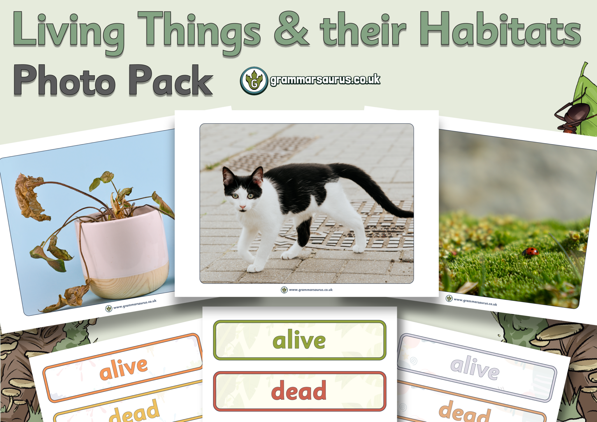 Science Living Things and their Habitats Photo Pack Grammarsaurus