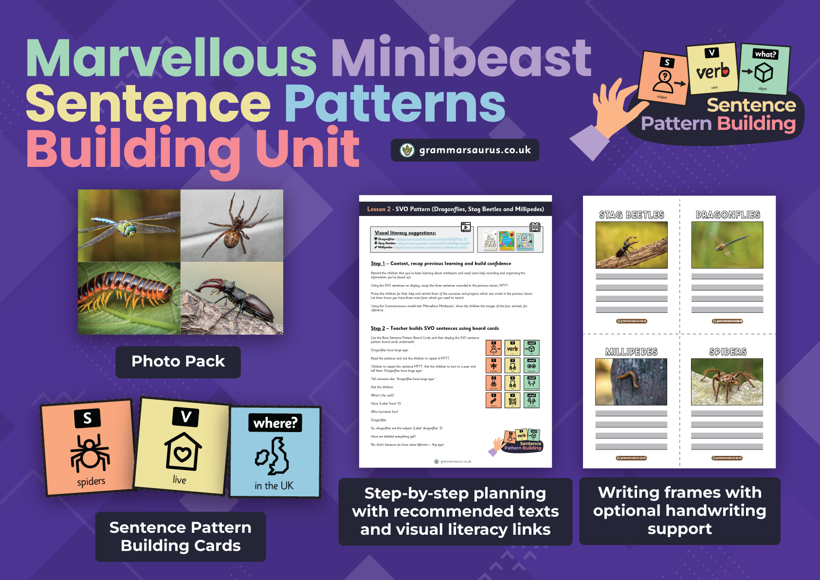 Marvellous Minibeasts Sentence Patterns Building Unit Grammarsaurus