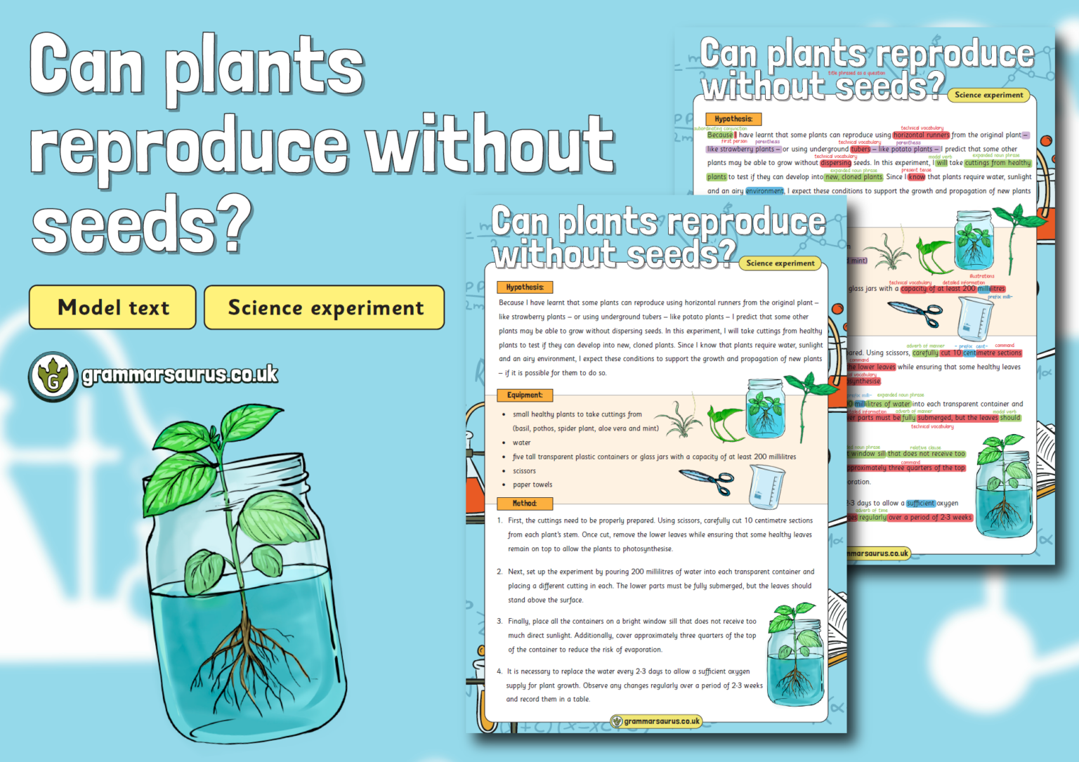 Year 5 Model Text – Science Experiment – Can plants reproduce without ...