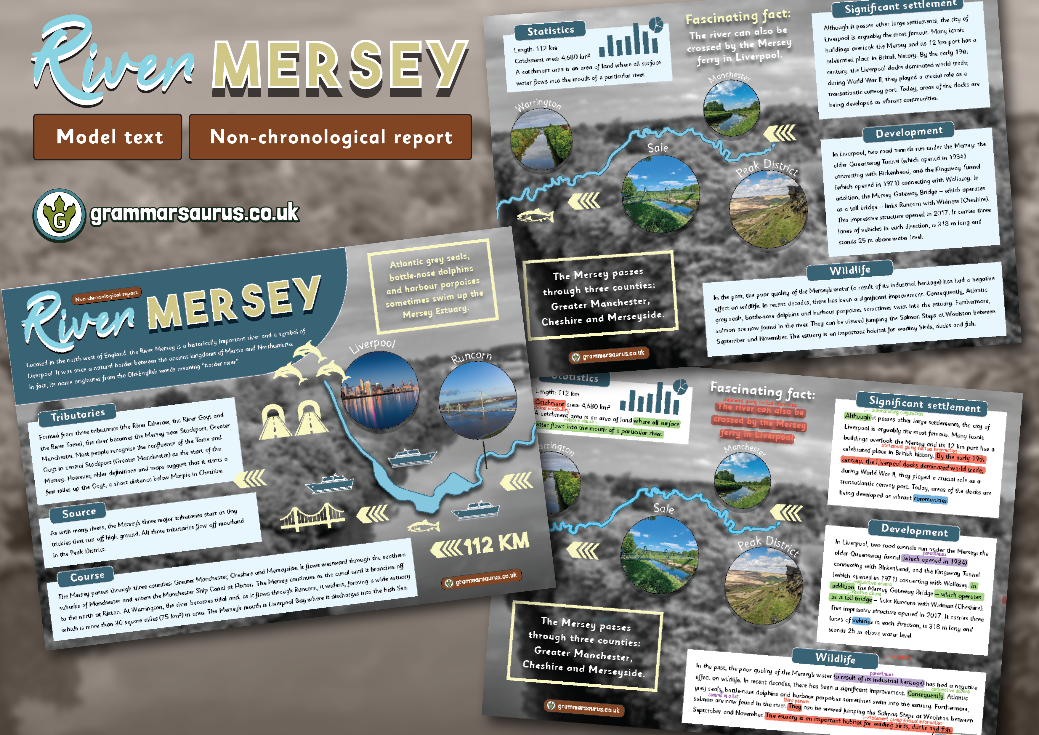 Year 5 Model Text – Non-chronological report - River Mersey - Grammarsaurus