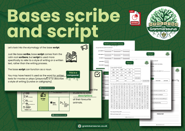 Y3 - Bases scribe and script - Grammarsaurus