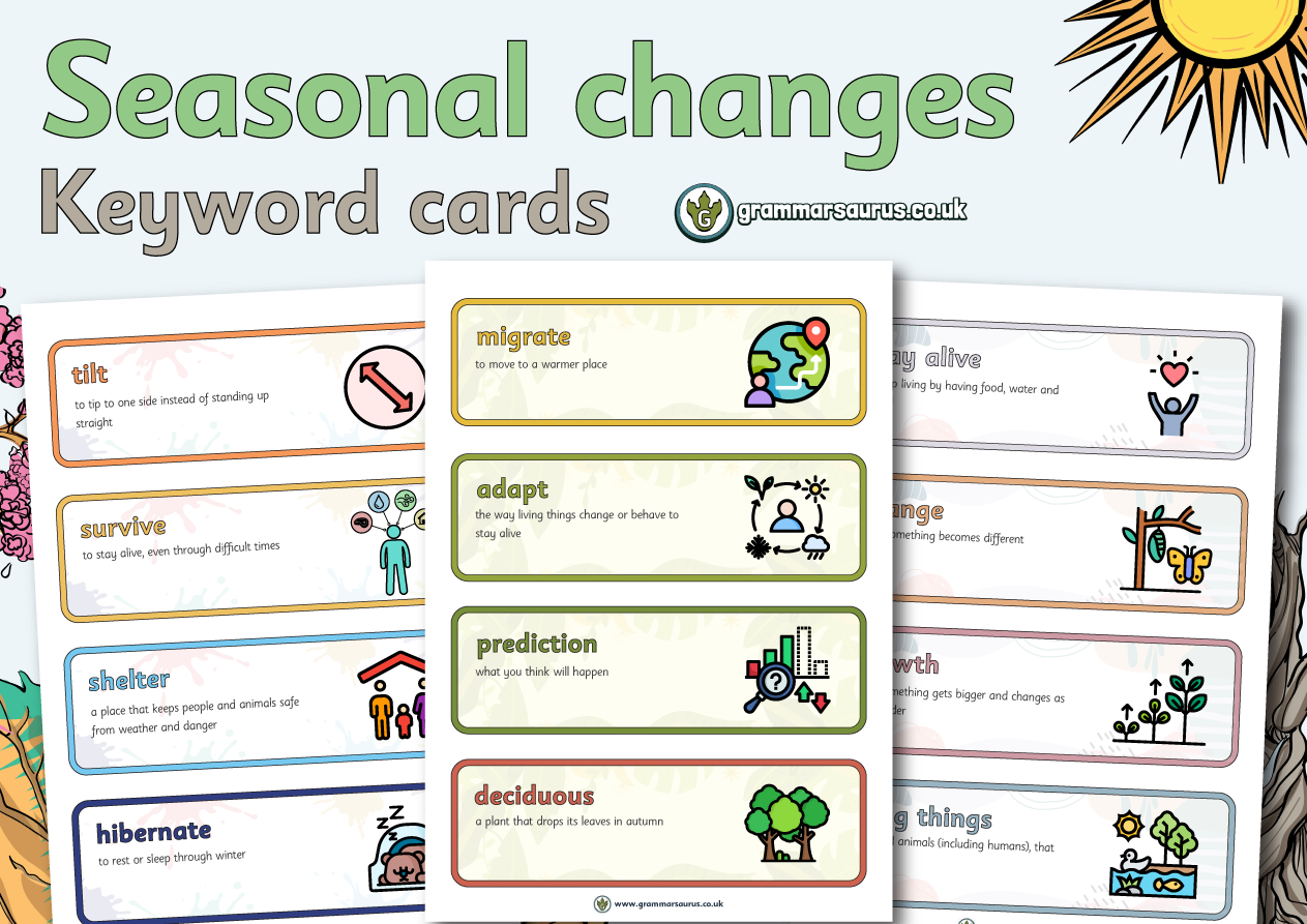 Year 2 Science – Seasonal Changes – Keyword cards - Grammarsaurus