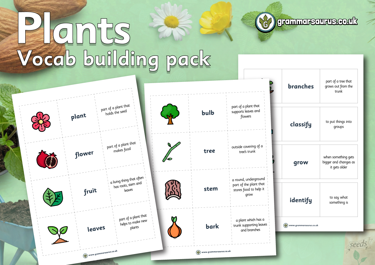 Vocab building pack - Grammarsaurus