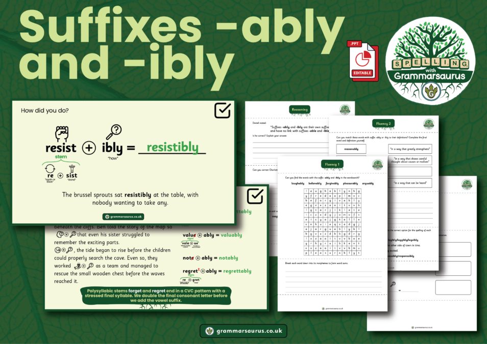 Y5 Objective 24 (Suffixes -ably and -ibly) - Grammarsaurus